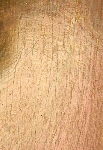 Madonna del Latte "Virgo Lactans"